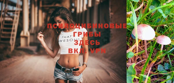 синтетический гашиш Нефтекумск