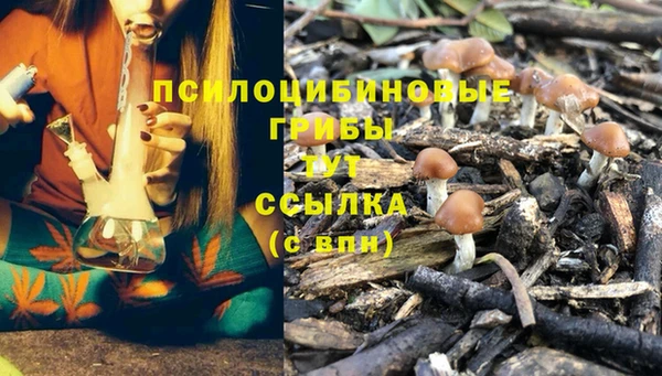 синтетический гашиш Нефтекумск